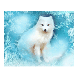 Icon 1 Northern Heat