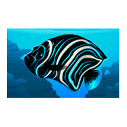 Icon 4 Dolphin Coast