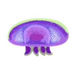 Icon 6 Fish and Bird