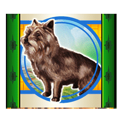 Icon 5 Wizard of OZ Ruby Slippers