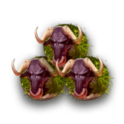 Icon 3 Safari of Wealth