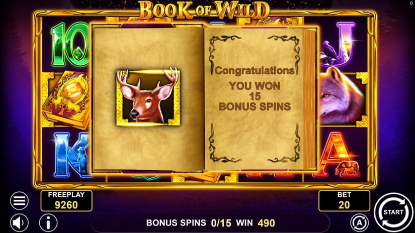 Book of Wild slot screen 3