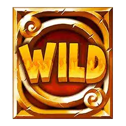 Wild Symbol