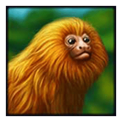 Icon 3 Amazon Lost Gold