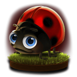 Icon 2 Max the Winner