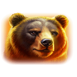 Icon 2 Buffalo Thunderstacks