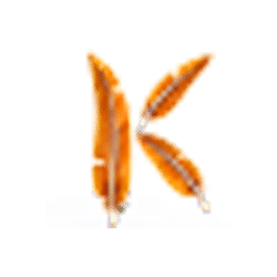 Icon 6 Fire Eagle Reborn