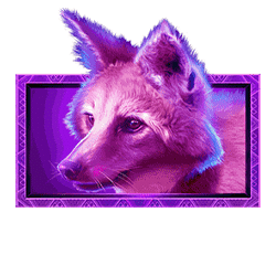 Icon 4 Buffalo Sunset