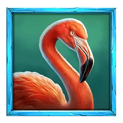 Icon 5 Rhino Hold and Win