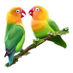 Icon 9 Serengeti Sunset