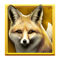 Icon 4 Wolf Fang – Golden Sands