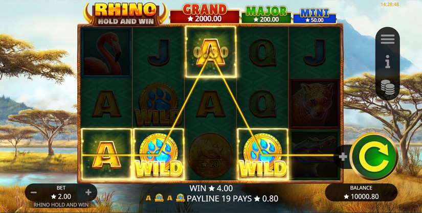 Rhino Hold and Win slot screen 2