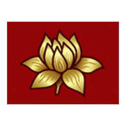 Icon 11 Dragons Pearl