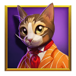 Icon 3 Kitty Kollect