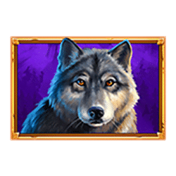 Icon 2 Wolf Reels Rapid Link