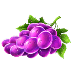 Icon 5 Surfin’ Joker