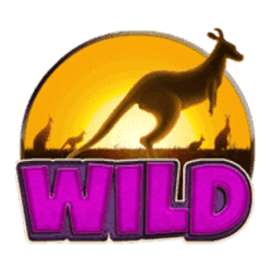 Wild Symbol of Boomerang Bonanza Slot