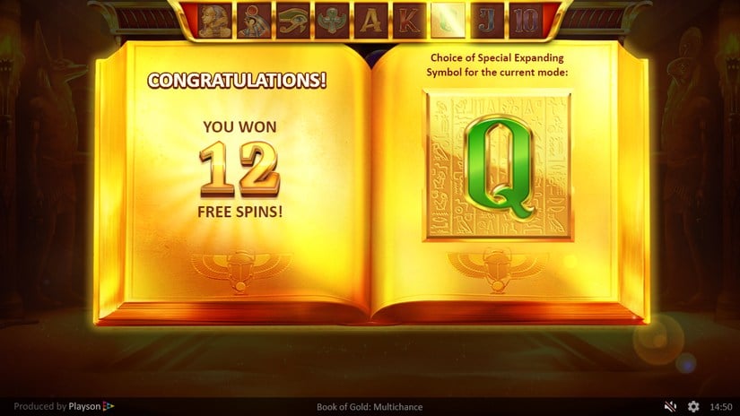 Book of Gold Multichance slot screen 8