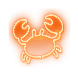 Icon 5 Sam on the Beach