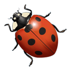 Icon 6 Lady of Fortune