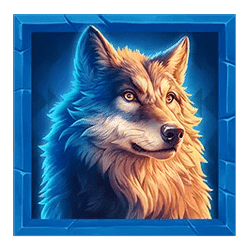 Icon 4 Wild West Buffalo Blast