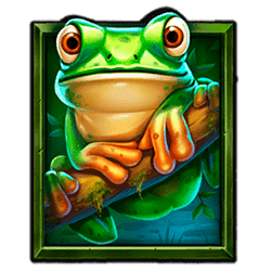 Icon 1 Frogs & Bugs