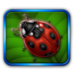 Icon 3 Lovely Lady Deluxe