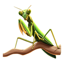 Icon 11 Serengeti Sunset