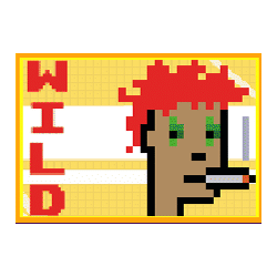 Wild Symbol of NFT Megaways Slot