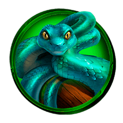 Icon 4 Jaguar Treasures