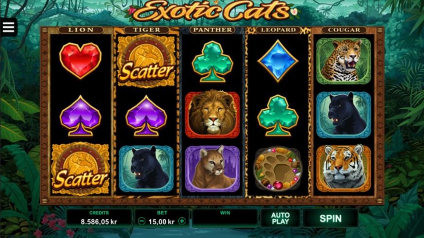 Exotic Cats slot screen 1