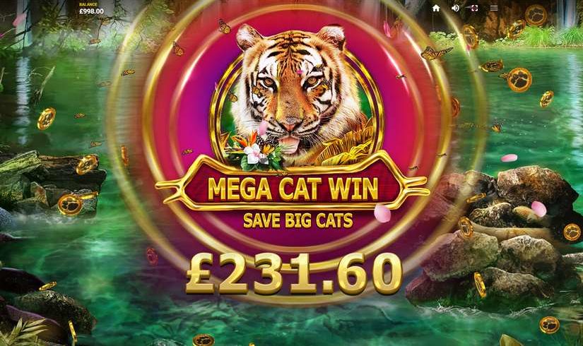 Big Cat Rescue MegaWays slot screen 3