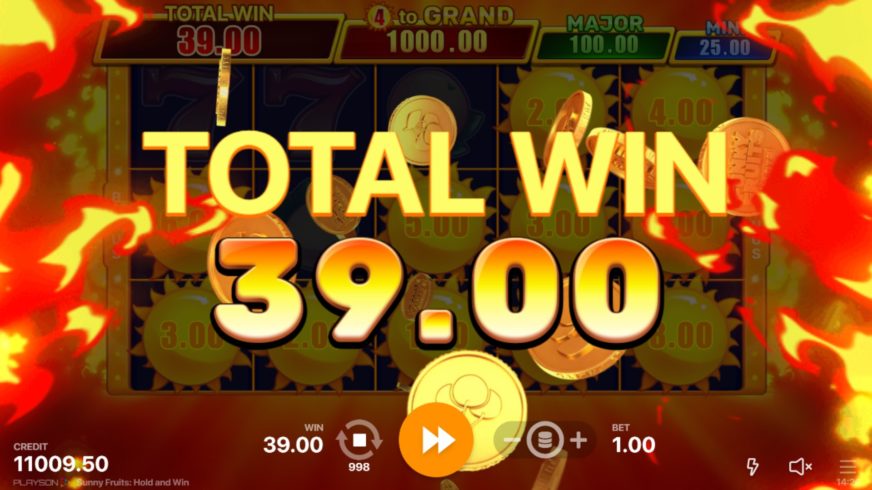 Sunny Fruits: Hold and Win slot screen 5