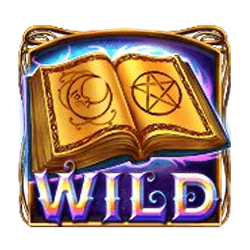 Wild Symbol of Myrtle the Witch Slot