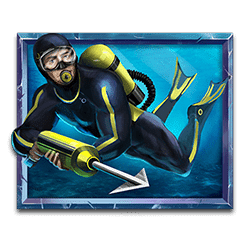 Icon 2 6 Wild Sharks