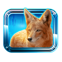 Icon 5 Aztec Temple Treasures