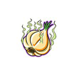 Icon 6 Stinkin’ Rich