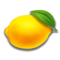 Icon 7 Burning Classics Royal Edition