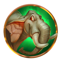 Icon 1 Bananaz 10K Ways