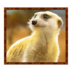 Icon 6 Rumble Rhino Megaways