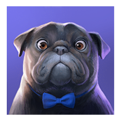 Icon 4 Tales of Dr Dolittle