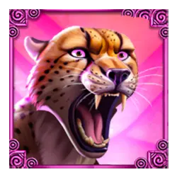 Icon 3 Wild White Rhino