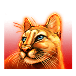 Icon 3 Wolf Spins 243