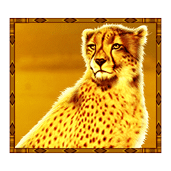 Icon 2 Rumble Rhino Megaways