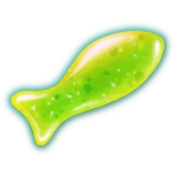 Icon 8 Fish and Cash