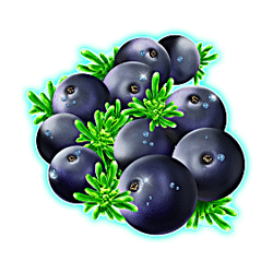 Icon 6 Winterberries