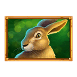 Icon 6 Wolf Reels Rapid Link