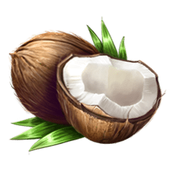 Icon 6 Tropical Bonanza