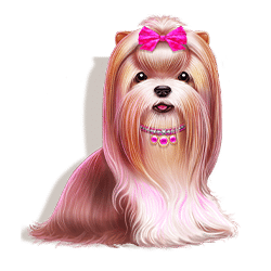 Icon 2 The Dog House