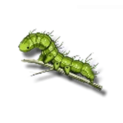 Icon 6 3 Butterflies